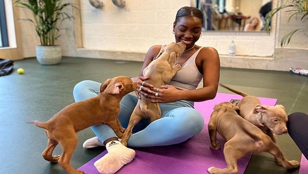 Summer Yoga Series: Puppy Yoga 4